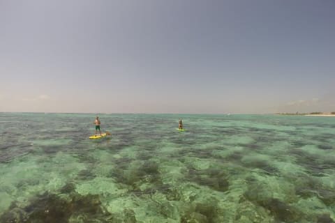 Paddleboard Rentals 3, 5 , 7 days — photo 6