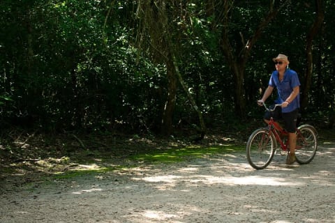 Tulum and Coba with Cenote Swim and Lunch from Cancun — photo 6
