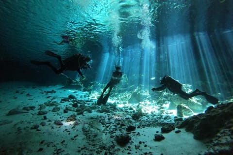 Tulum cenote diving. The ultimate experience in scuba — photo 6