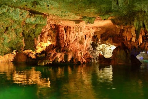 Tortugas & Cenotes Snorkel With Turtles Tour — photo 2