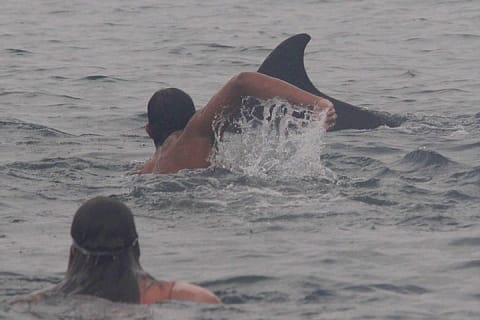 Private Wild Dolphin Encounter in Puerto Vallarta — photo 3