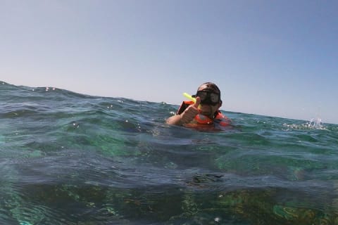 Reef Snorkel In National Park In Puerto Morelos With Lunch And Transportation — photo 5