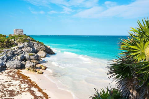 FANTASTIC 4X1 COMBO: Tulum Ruins, Coba Ruins and Mayan Cenote! — photo 1
