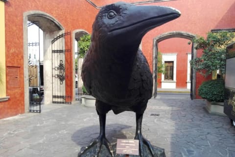 Excursión a Tequila desde Guadalajara en el tren Jose Cuervo Express — photo 14