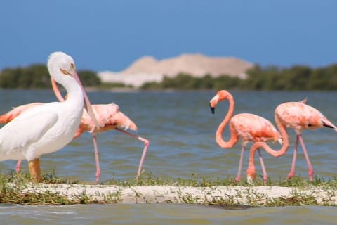 Tour privado de descubrimiento de Yucatán — photo 2