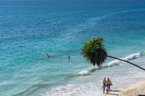 Tulum Bike Tour - Mayan Ruins & Tacos + optional Cenote Swim — photo 14