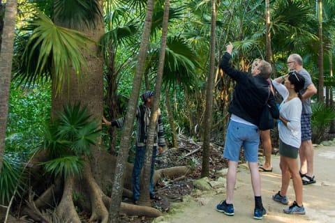 Tulum Bike Tour - Mayan Ruins & Tacos + optional Cenote Swim — photo 8