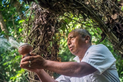 Coba Ruins, Punta Laguna Nature Reserve, Cenote and Mayan family — photo 6