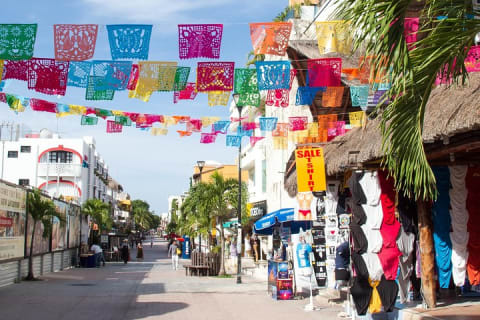 All Included Coba, Tulum, Cenote and Playa del Carmen Tour — photo 14
