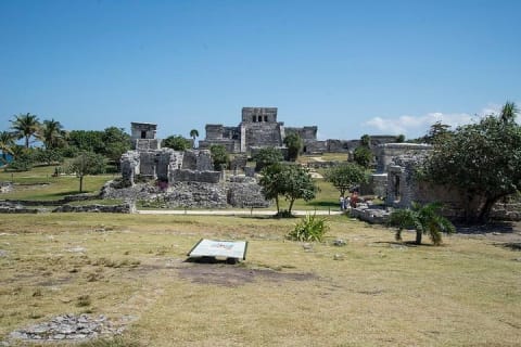 Tulum and Turtles Experience — photo 4