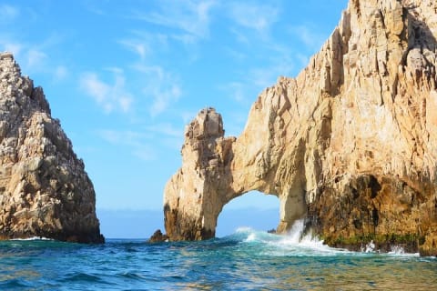 Small-Group Whale Watch with Marine Biologist in Cabo San Lucas — photo 4