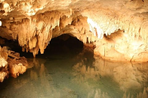 Half day Cave Cenotes Expedition — photo 5