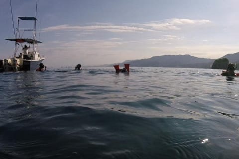 Snorkel privado en Los Arcos — photo 3