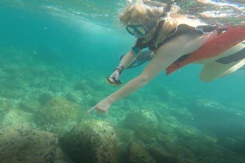 Snorkel privado en Los Arcos — photo 7