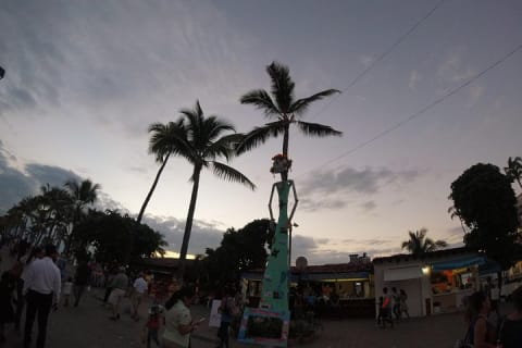 Tour privado educativo y divertido por la ciudad - Puerto Vallarta — photo 4
