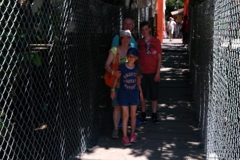 Tour privado educativo y divertido por la ciudad - Puerto Vallarta — photo 8