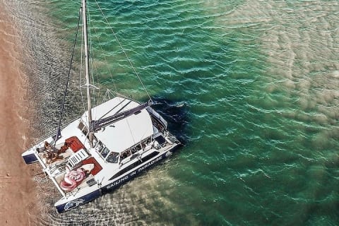 Catamaran to Isla Mujeres and Snorkel Adventure with open bar — photo 4