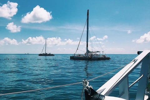 Catamaran to Isla Mujeres and Snorkel Adventure with open bar — photo 7