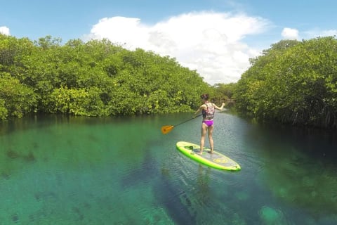 Paddleboard Cenote Tour — photo 5