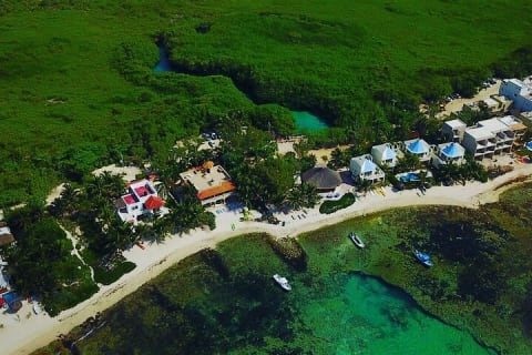 Paddleboard Cenote Tour — photo 8