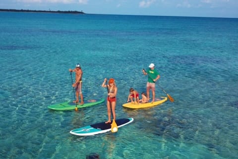 Ocean Bay Paddleboard Tour — photo 3