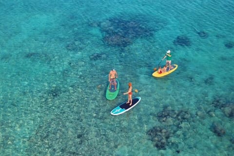 Ocean Bay Paddleboard Tour — photo 4