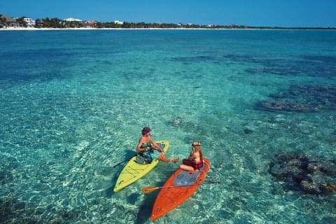 Ocean Bay Paddleboard Tour — photo 8