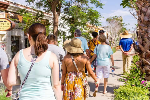 Visite guidée de Cabo San Lucas et de San José del Cabo — photo 3
