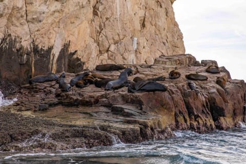 Visite guidée de Cabo San Lucas et de San José del Cabo — photo 14