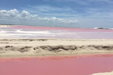 Tour Las Coloradas and Rio Lagartos — photo 1