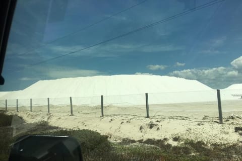 Tour Las Coloradas and Rio Lagartos — photo 2