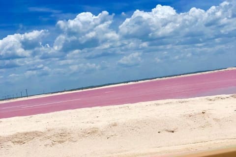 Tour Las Coloradas and Rio Lagartos — photo 7