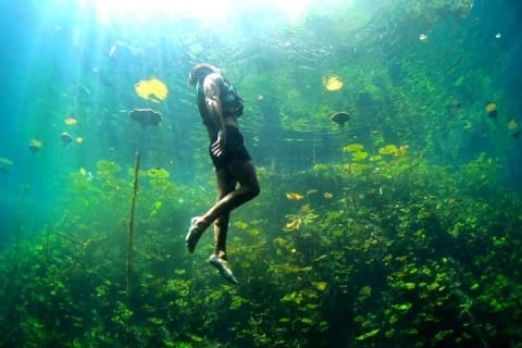 Tour guiado de 4 cenotes en 1 con desayuno, comida y vino — photo 8