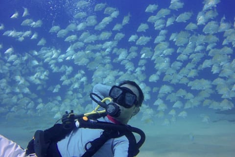 Buceo con tanque — photo 6