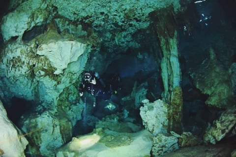 Dos Ojos Cenote Cavern Dive- The Barbie Line and The Bat Cave — photo 2