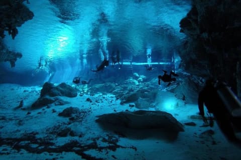 Dos Ojos Cenote Cavern Dive- The Barbie Line and The Bat Cave — photo 1