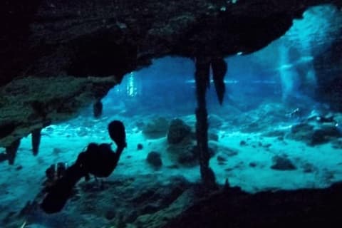 Dos Ojos Cenote Cavern Dive- The Barbie Line and The Bat Cave — photo 3