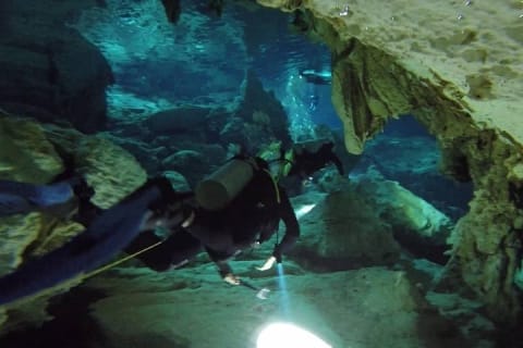 Dos Ojos Cenote Cavern Dive- The Barbie Line and The Bat Cave — photo 4
