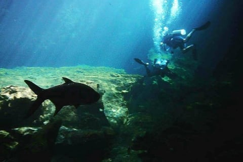 Discover Scuba Diving at Casa Cenote — photo 6