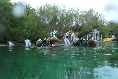 Discover Scuba Diving in Tulum — photo 4