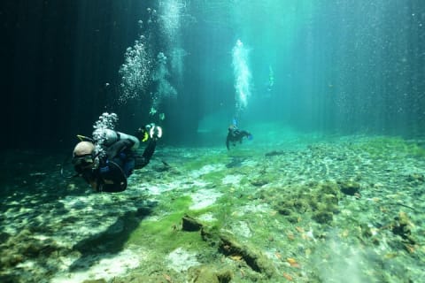 Discover Scuba Diving in Tulum — photo 2