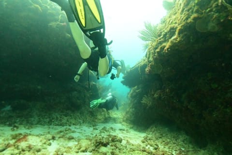 Discover Scuba Diving in Tulum — photo 6