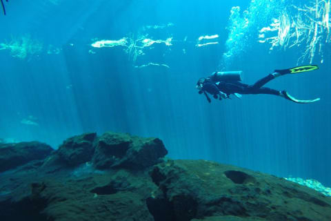 Discover Scuba Diving in Tulum — photo 7