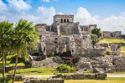 Tulum Express — photo 6