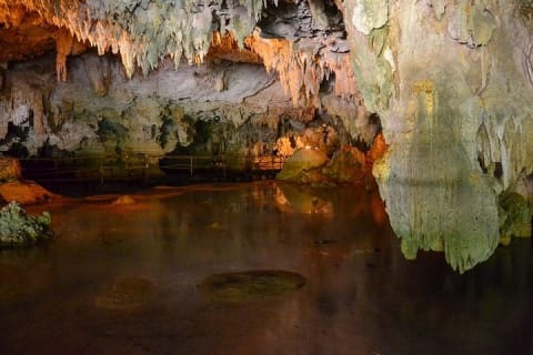 Turtles and Cenote from Riviera Maya — photo 7