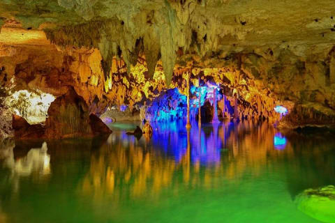 Turtles and Cenote from Riviera Maya — photo 1