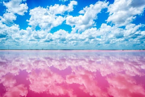 Las Coloradas — photo 6