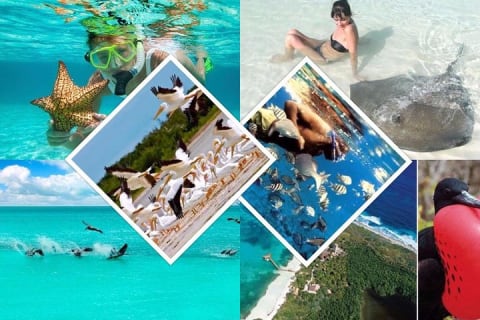 Isla Contoy — photo 4