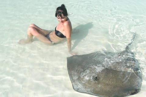 Isla Contoy — photo 1