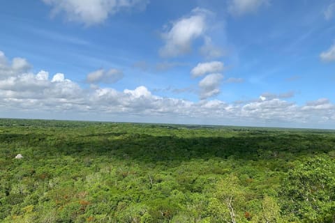 Coba Ruins and Punta Laguna Monkey Reserve Day Tour from Tulum — photo 11